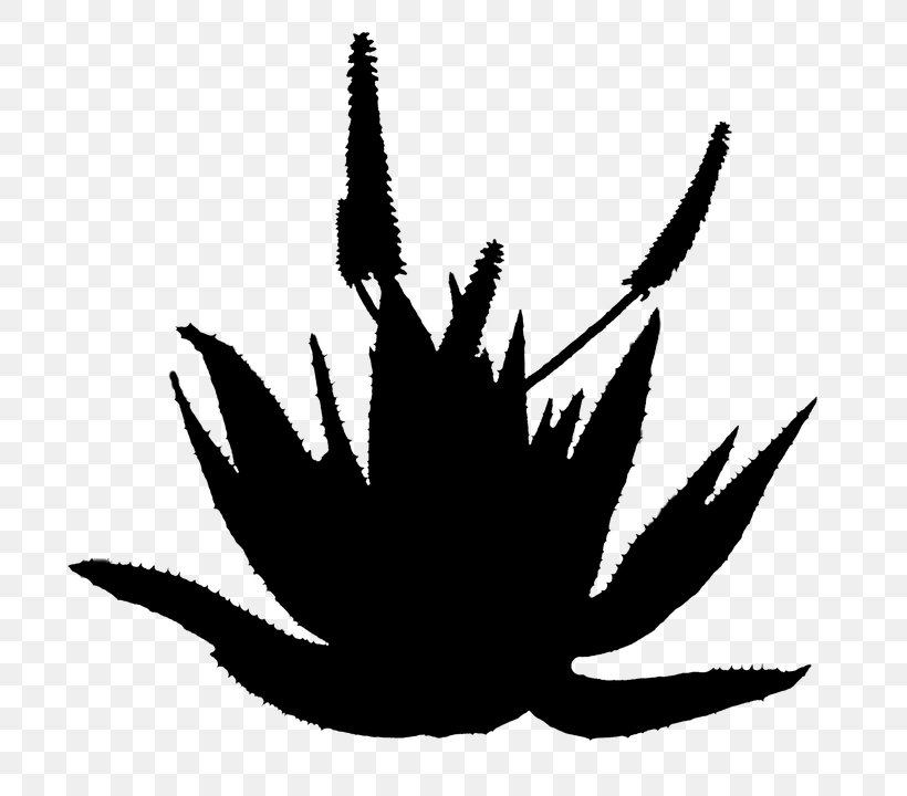 Leaf Clip Art Silhouette Tree, PNG, 789x720px, Leaf, Blackandwhite, Logo, Plant, Silhouette Download Free