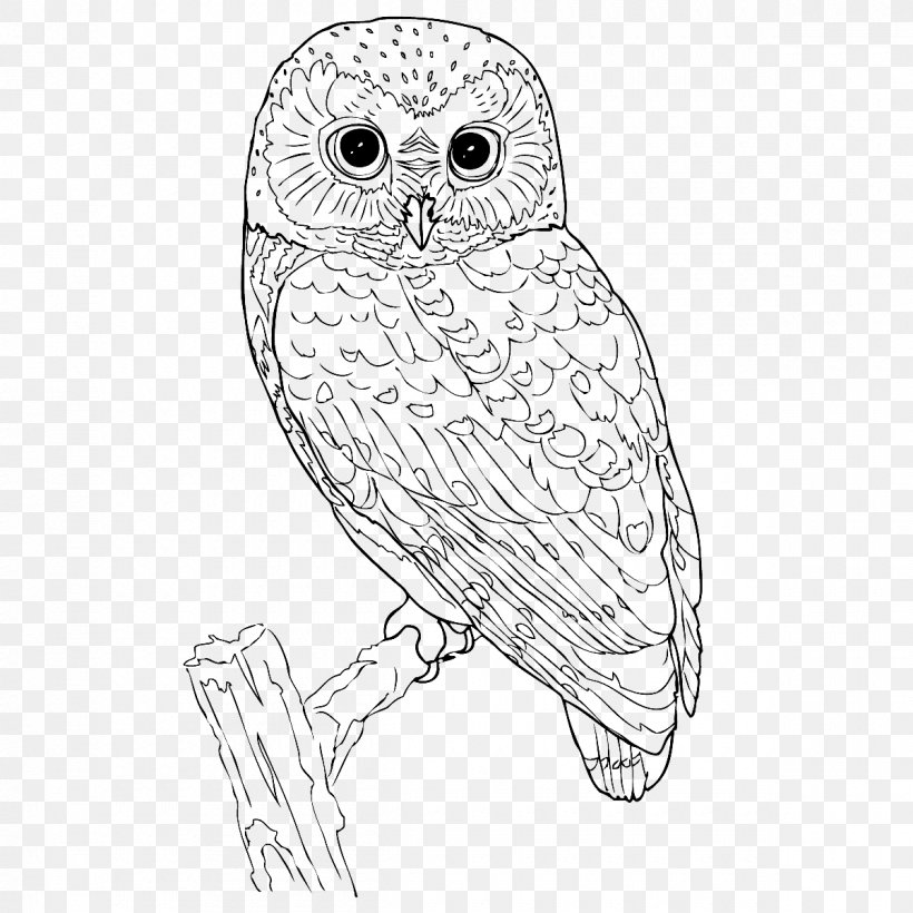 Little Owl Black And White, PNG, 1200x1200px, Owl, Art, Artwork, Beak, Bird Download Free