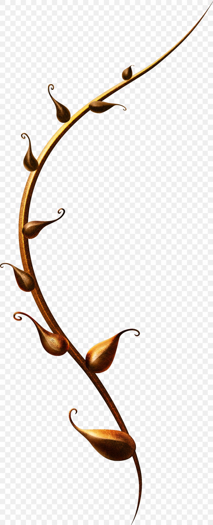 PhotoScape Clip Art, PNG, 1380x3400px, Photoscape, Body Jewelry, Branch, Dia, Gimp Download Free