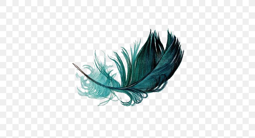 The Floating Feather Bird Watercolor Painting, PNG, 564x445px, Floating Feather, Aqua, Art, Bird, Drawing Download Free