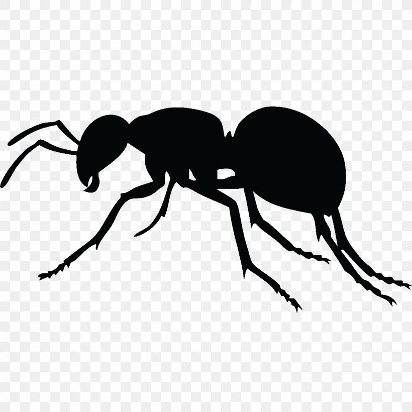 Ant Royalty-free Clip Art, PNG, 1200x1200px, Ant, Arthropod, Beetle, Black And White, Black Garden Ant Download Free