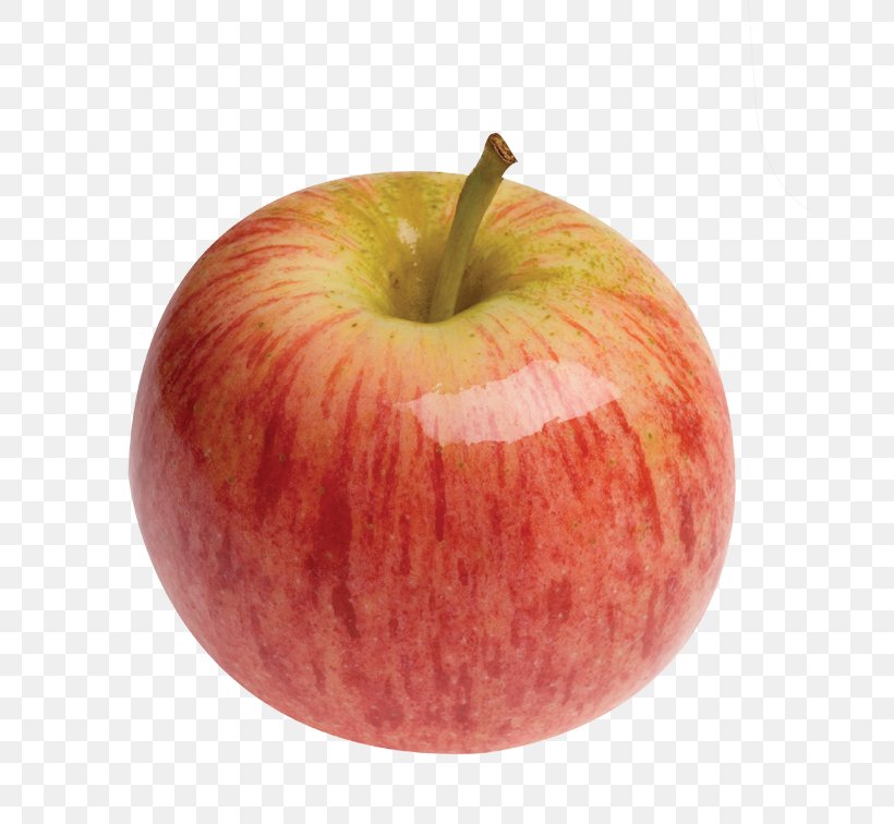 Apple Gala Fruit Granny Smith, PNG, 668x756px, Apple, Accessory Fruit, Apple Extract, Apples, Cooking Apple Download Free