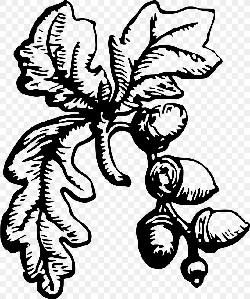 Clip Art Flower Oak Bay Municipal Hall Visual Arts, PNG, 2012x2400px, Flower, Art, Blackandwhite, Botany, Character Download Free