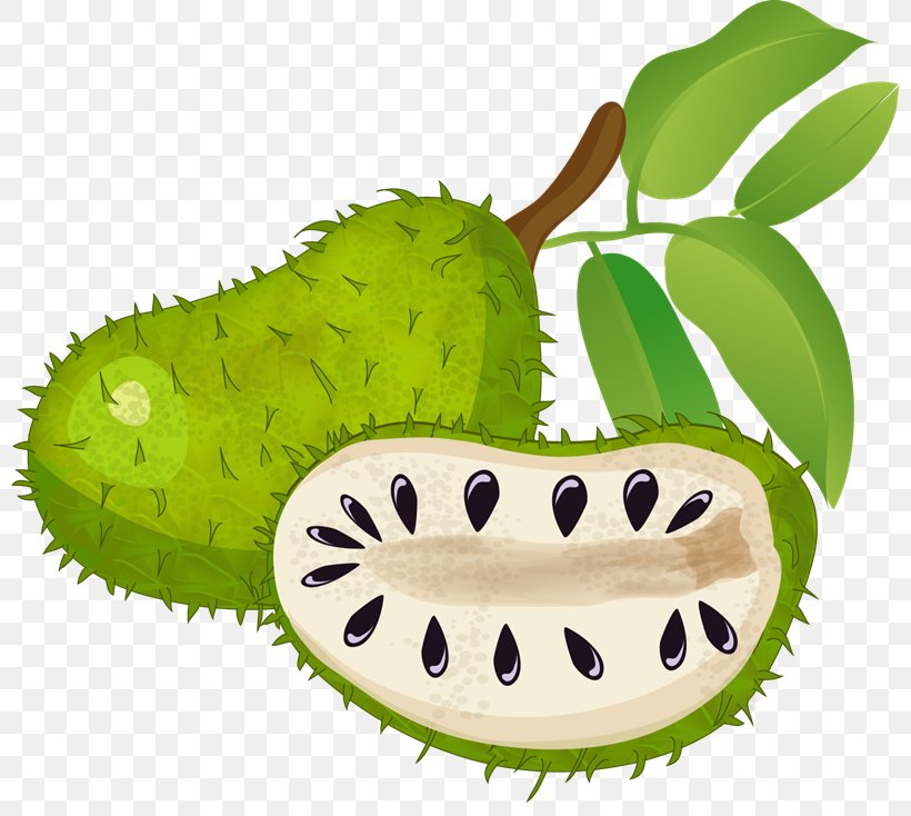 Green Tea Matcha Soursop Sugar Apple, PNG, 800x734px, Tea, Annona, Flavor, Food, Fruit Download Free