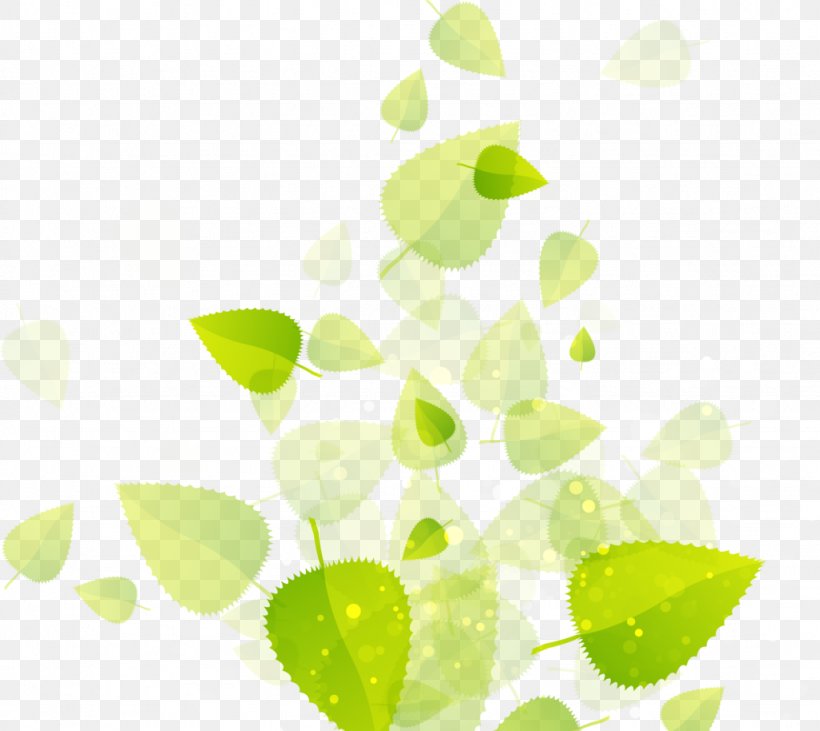 Leaf EPA Safer Choice Information, PNG, 1024x914px, Leaf, Branch, Editing, Green, Idea Download Free