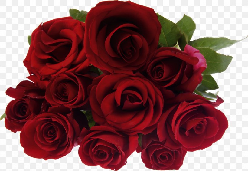 Stock Photography Rose Flower Bouquet, PNG, 1280x883px, Stock Photography, Color, Cut Flowers, Floral Design, Floribunda Download Free
