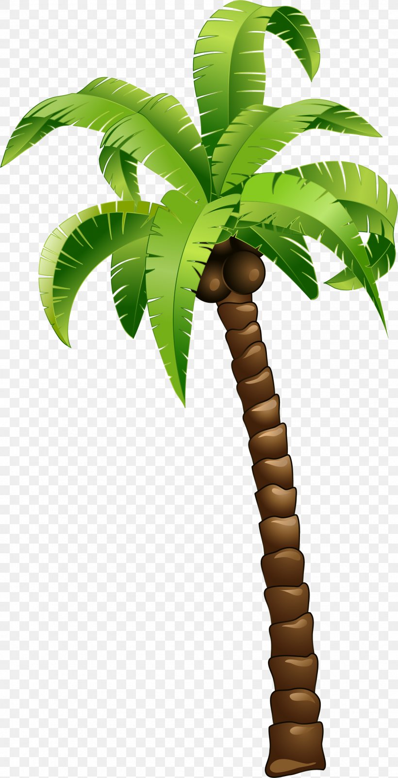 Coconut Tree, PNG, 1901x3718px, Coconut, Arecales, Flowerpot, Leaf, Palm Tree Download Free