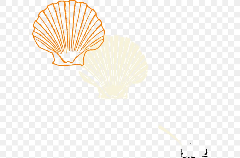 Coloring Book Seashell Clam Drawing, PNG, 600x543px, Coloring Book, Clam, Color, Conch, Decorative Fan Download Free