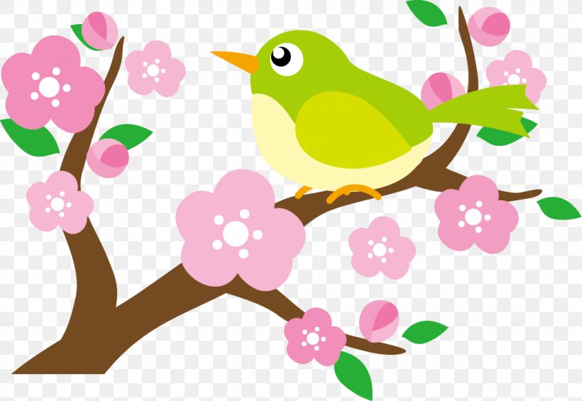 Floral Design Japanese Bush Warbler Flower, PNG, 1084x747px, Floral Design, Artwork, Beak, Bird, Blossom Download Free