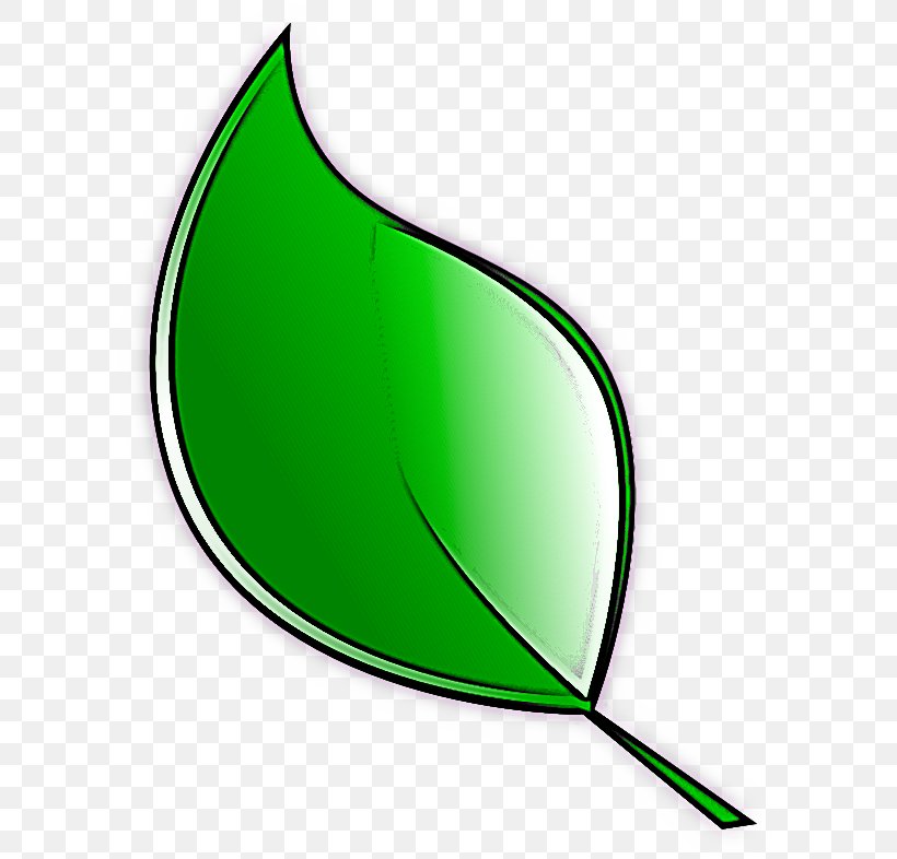 Leaf Green Clip Art Plant, PNG, 605x786px, Leaf, Green, Plant Download Free