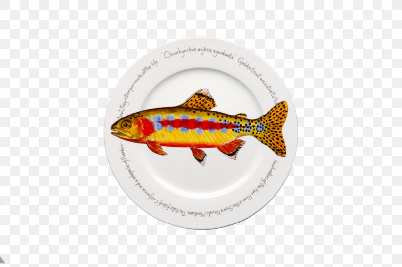 Kern River Golden Trout Rainbow Trout Plate, PNG, 1024x683px, Golden Trout, Bowl, Brook Trout, Coffee Cup, Cup Download Free