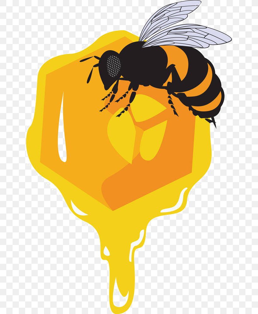 Bee Honeycomb Euclidean Vector Drawing Illustration, PNG, 654x1000px, Bee, Arthropod, Beehive, Can Stock Photo, Drawing Download Free