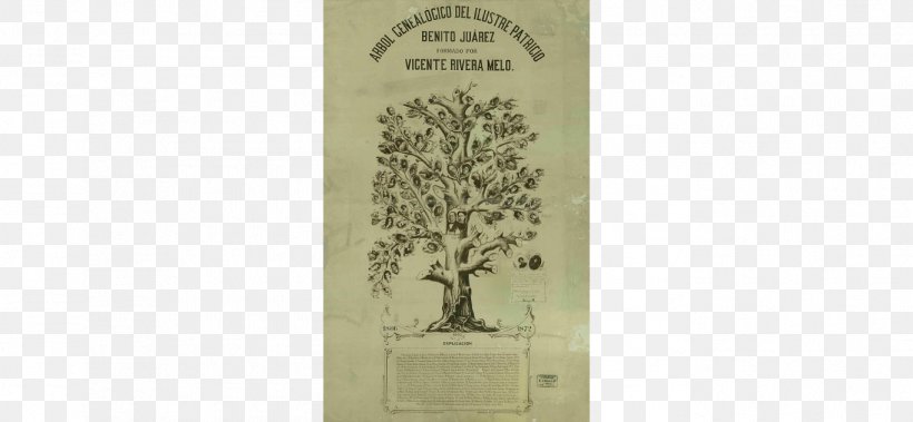 Genealogy Family Tree History Mexico Science, PNG, 1365x632px, Genealogy, Blogger, Description, Family Tree, History Download Free