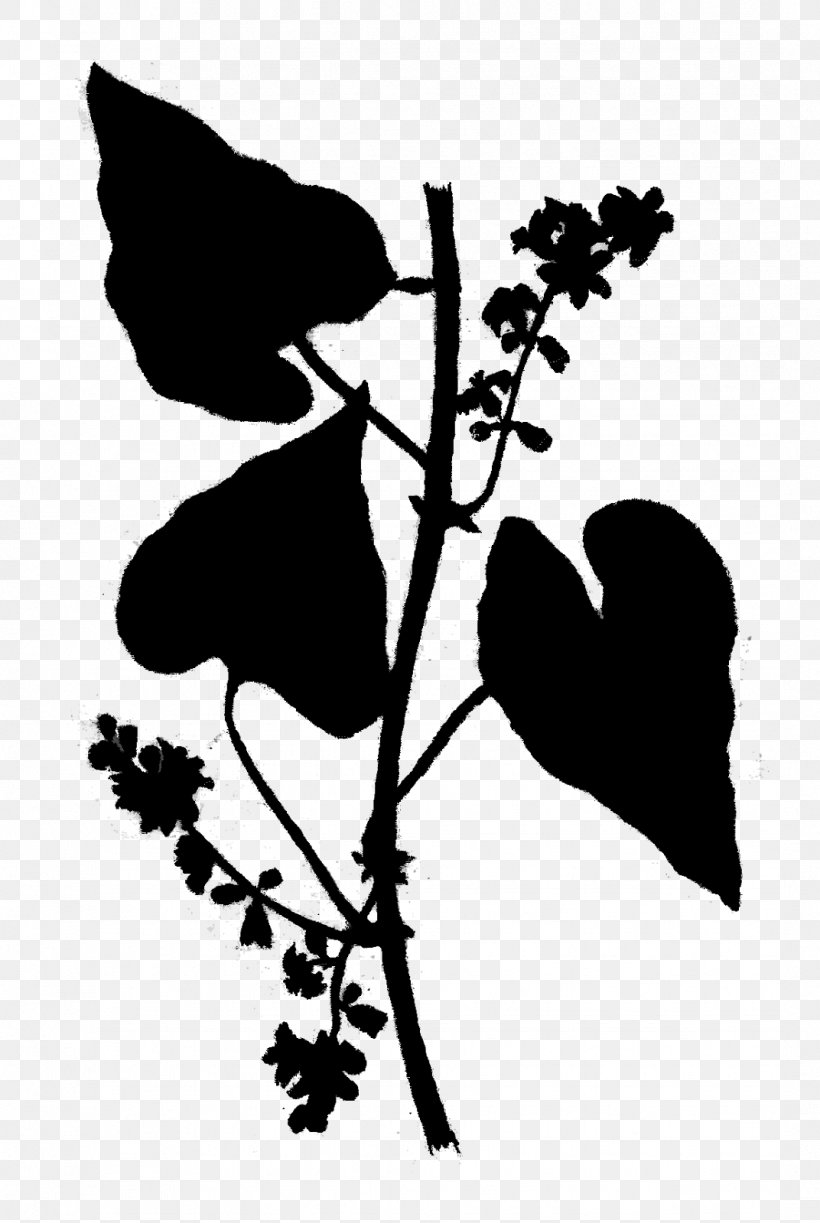 Visual Arts Clip Art Silhouette Flower, PNG, 1072x1600px, Visual Arts, Art, Blackandwhite, Botany, Branch Download Free
