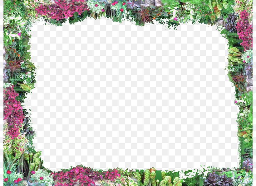 Border Flowers Clip Art, PNG, 798x598px, Border Flowers, Annual Plant, Flora, Floral Design, Floristry Download Free