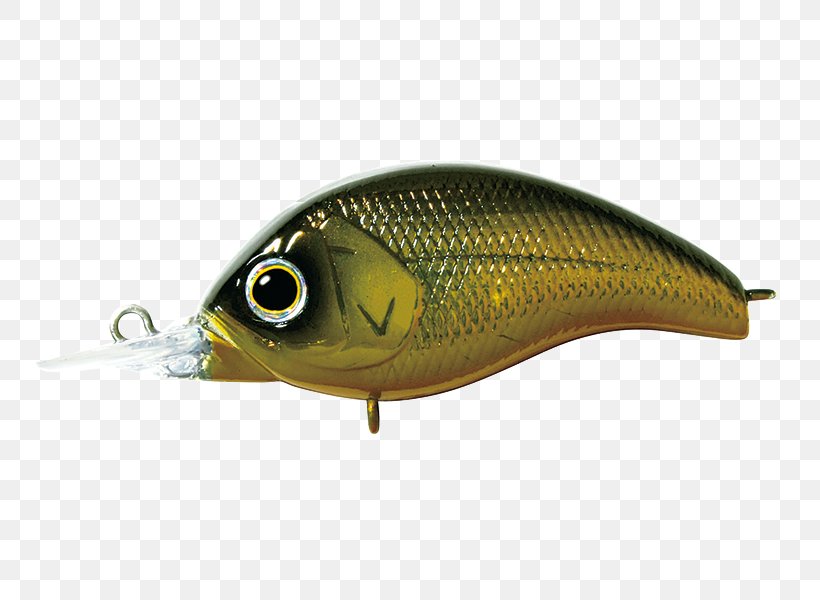 General Motors Spoon Lure Korrigan Rod Fish, PNG, 800x600px, General Motors, Bait, Fish, Fishing Bait, Fishing Lure Download Free