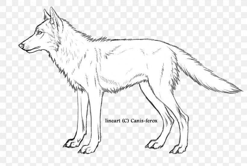 Gray Wolf Red Fox Line Art Fauna Wildlife, PNG, 1559x1047px, Gray Wolf, Artwork, Black And White, Carnivoran, Dog Like Mammal Download Free