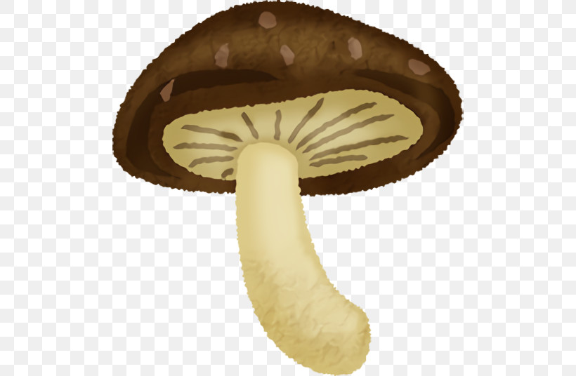 Agaricus, PNG, 500x536px, Agaricus Download Free