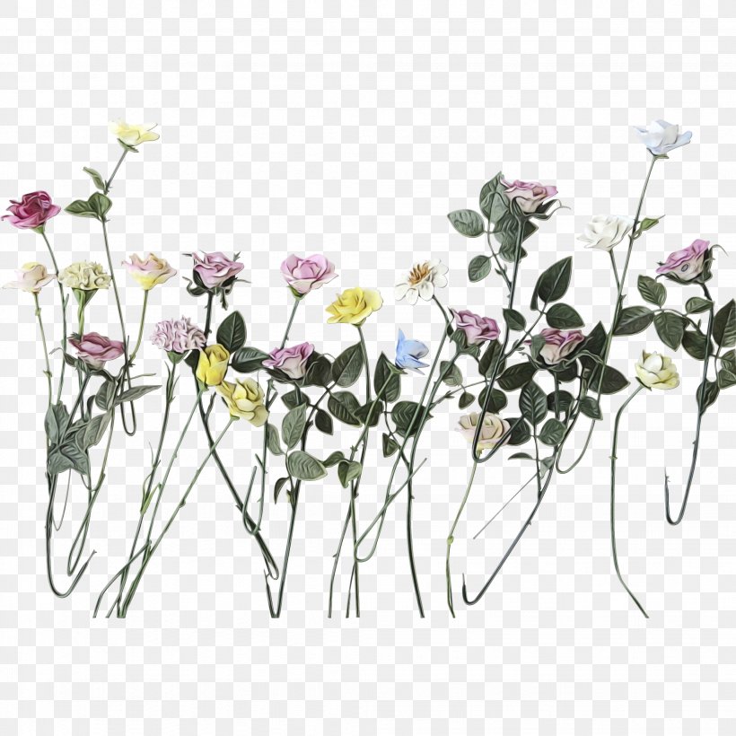Floral Design Cut Flowers Flower Bouquet Plant Stem, PNG, 2046x2046px, Floral Design, Anemone, Anthurium, Botany, Bouquet Download Free