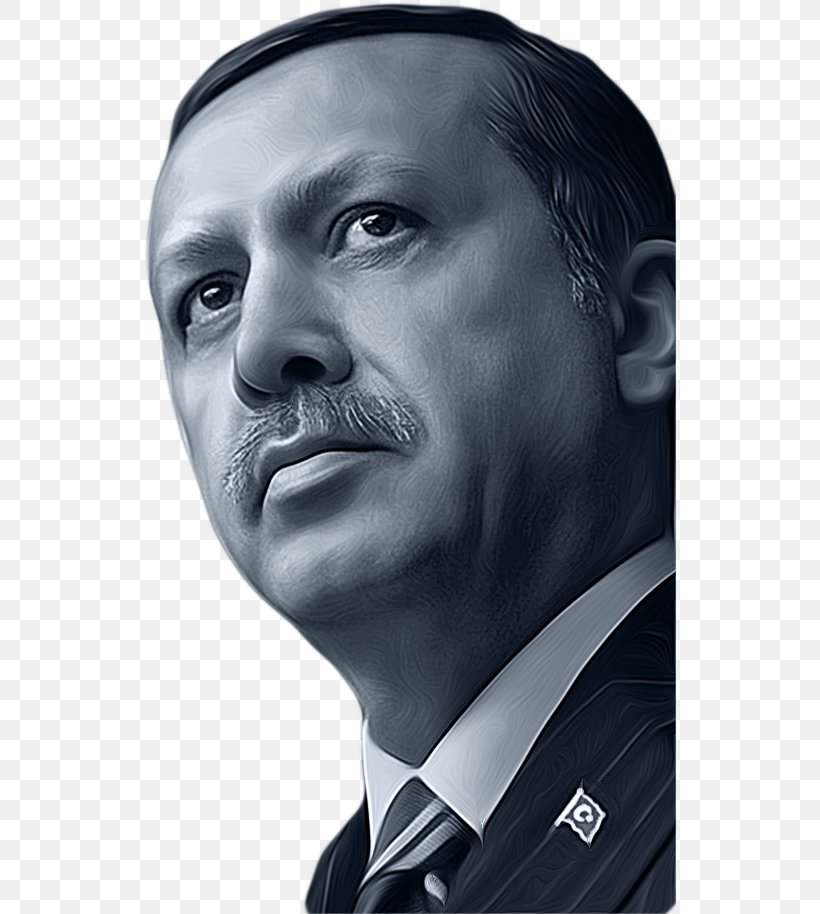 Recep Tayyip Erdoğan President Of Turkey Justice And Development Party Reis, PNG, 533x914px, Turkey, Black And White, Cheek, Chin, Close Up Download Free