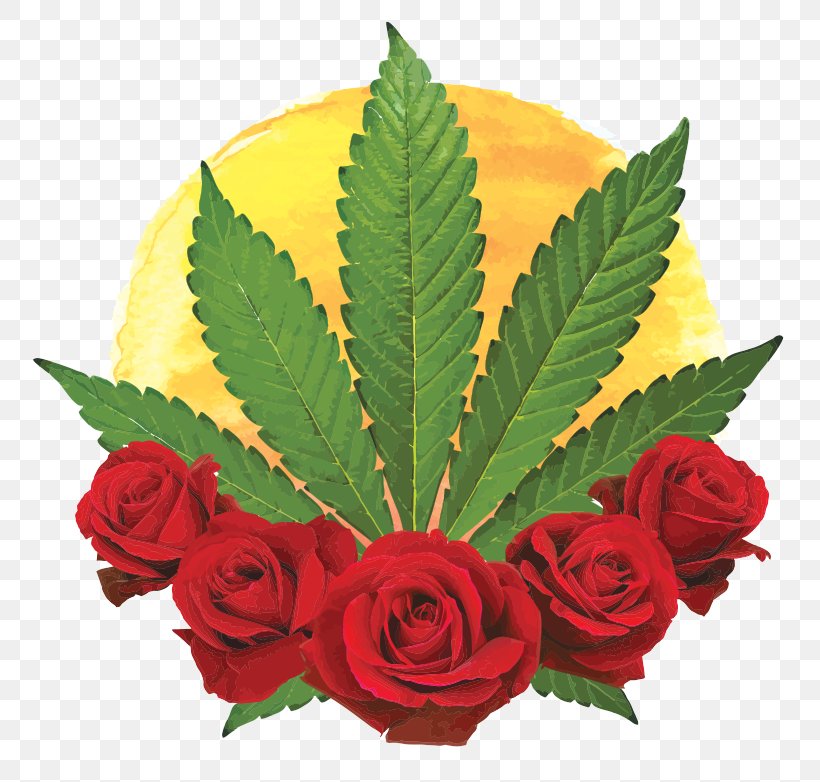 Cannabis Sativa Garden Roses Marijuana Hemp, PNG, 781x782px, Cannabis, Cannabis Sativa, Cut Flowers, Dispensary, Floral Design Download Free