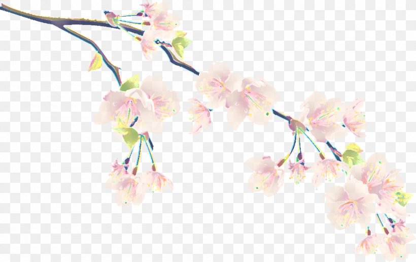 Cherry Blossom, PNG, 1000x630px, Pink, Blossom, Branch, Cherry Blossom, Flower Download Free