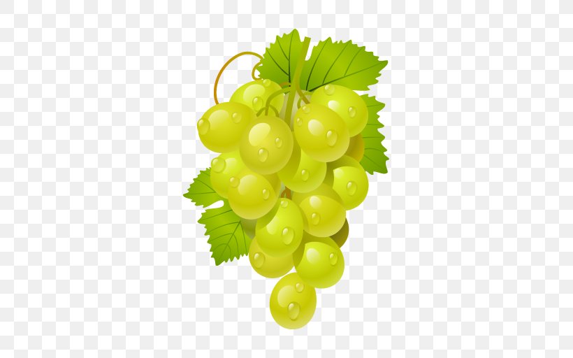 The Grape Cure Common Grape Vine La Cura De La Uva Sultana, PNG, 512x512px, Common Grape Vine, Food, Fruit, Gooseberry, Grape Download Free