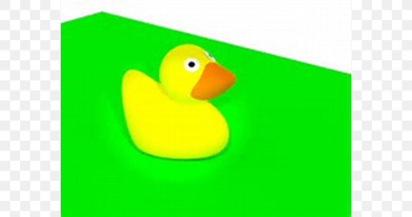 Duck Material, PNG, 768x432px, Duck, Beak, Bird, Ducks Geese And Swans, Green Download Free