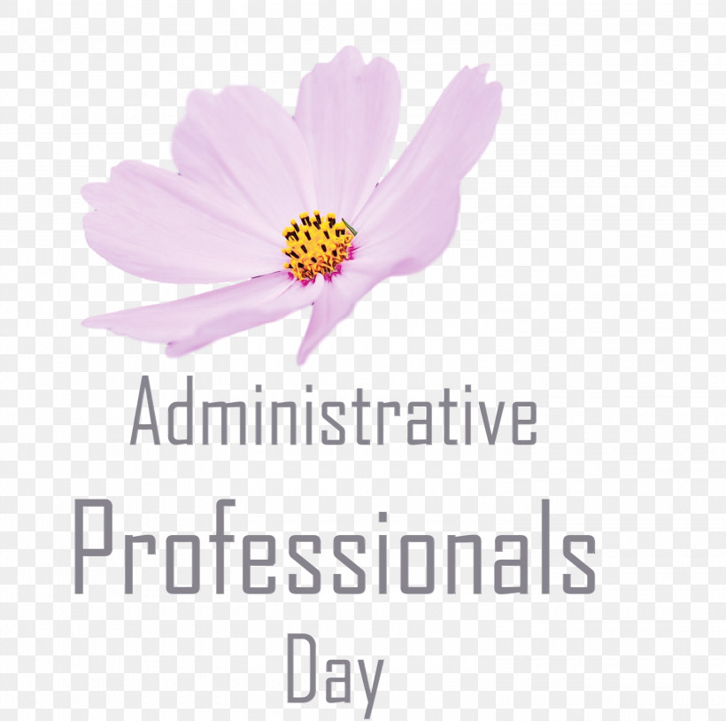 Flower Petal Meter Font Plant, PNG, 3000x2981px, Administrative Professionals Day, Admin Day, Biology, Flower, Meter Download Free