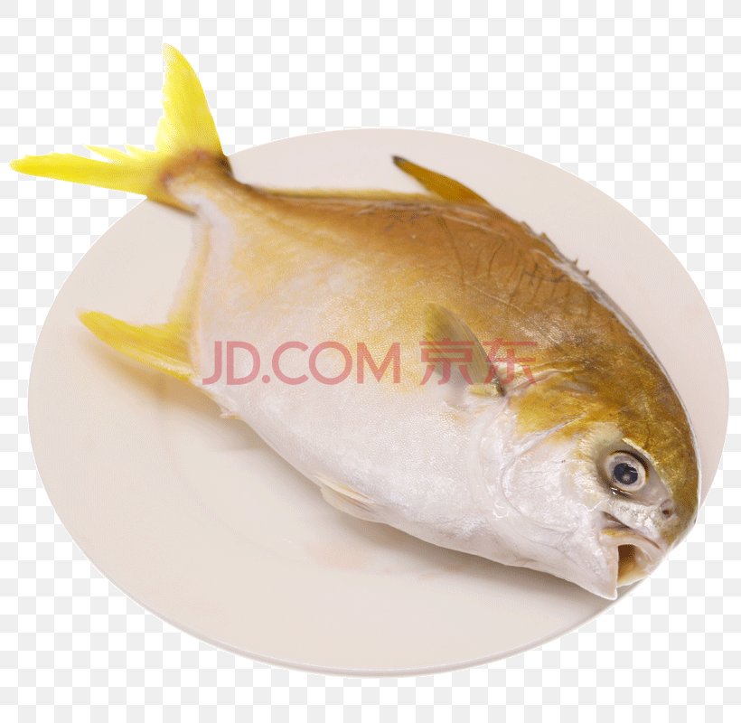 Pampus Argenteus Fish Seafood Clip Art, PNG, 800x800px, Pampus Argenteus, Animal Source Foods, Fish, Fish Products, Information Download Free