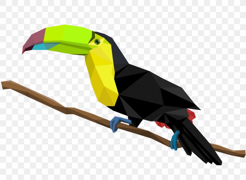 Bird Toco Toucan Piciformes, PNG, 1053x768px, Bird, Animal, Art, Beak, Illustrator Download Free