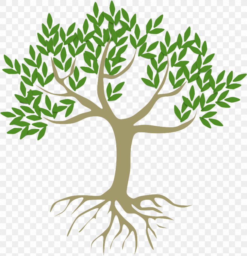 Green Tree Leaf Plant Branch, PNG, 835x865px, Green, Branch, Leaf, Plant, Plant Stem Download Free
