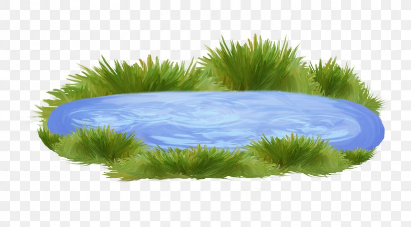 Body Of Water Clip Art Desktop Wallpaper Image, PNG, 1600x882px, Body Of Water, Drawing, Grass, Grass Family, Lake Download Free