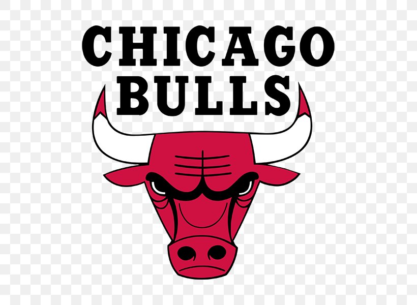 Chicago Bulls Windy City Bulls NBA Durham Bulls Logo, PNG, 800x600px, Chicago Bulls, Allnba Team, Area, Brand, Cartoon Download Free