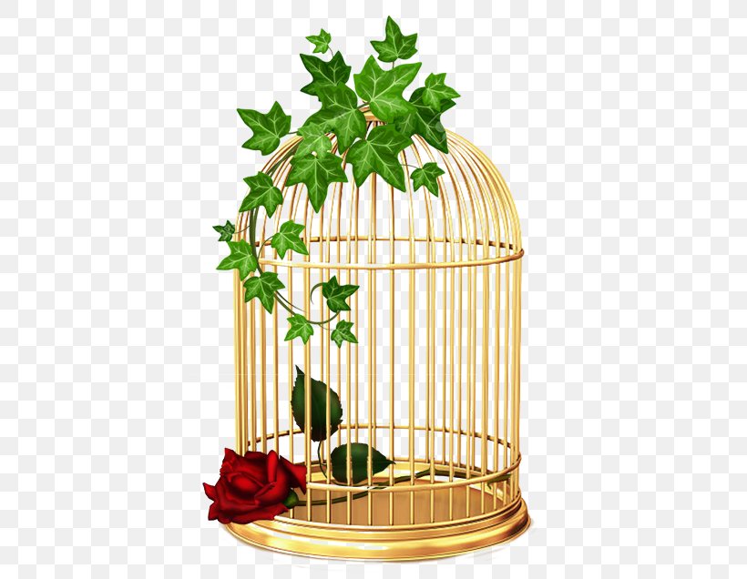 Common Ivy Drawing, PNG, 436x636px, Common Ivy, Art, Cage, Drawing, Flower Download Free