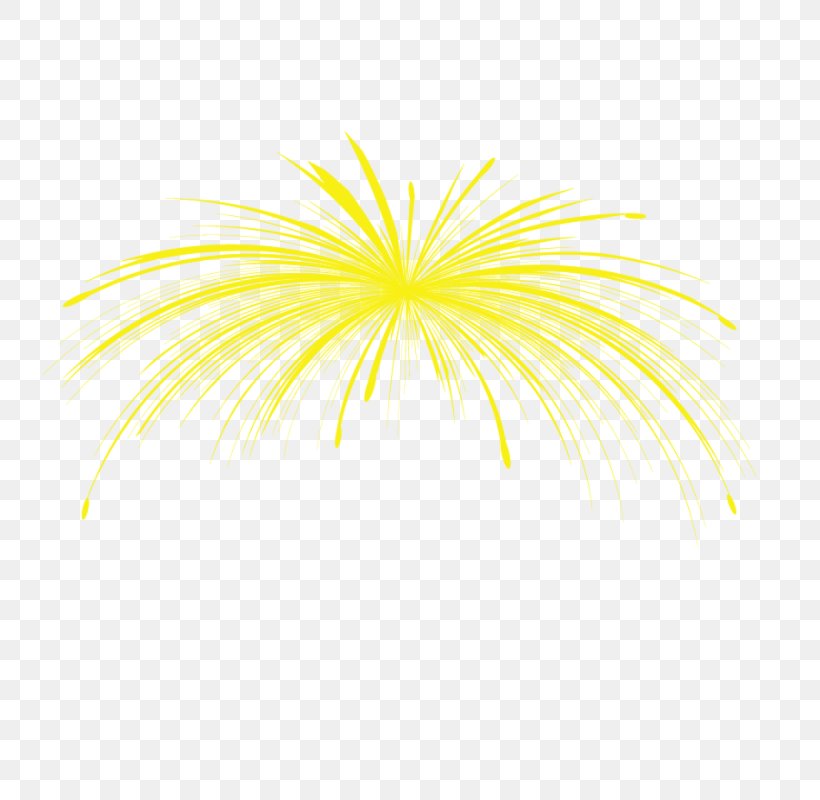 Graphic Design Fireworks, PNG, 750x800px, Fireworks, Adobe Fireworks, Flower, Flowering Plant, Gratis Download Free