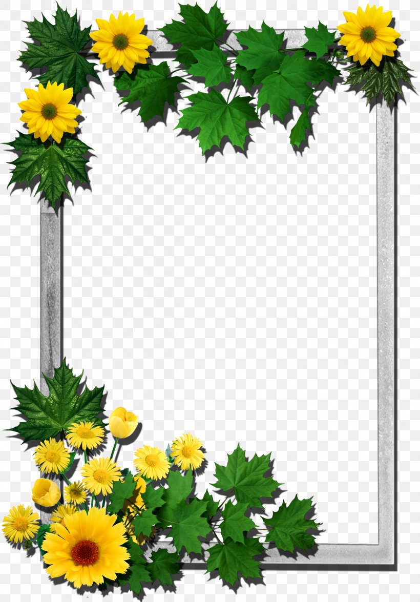 Picture Frames Flower Clip Art, PNG, 1212x1738px, Picture Frames, Annual Plant, Chamaemelum Nobile, Chrysanths, Cut Flowers Download Free