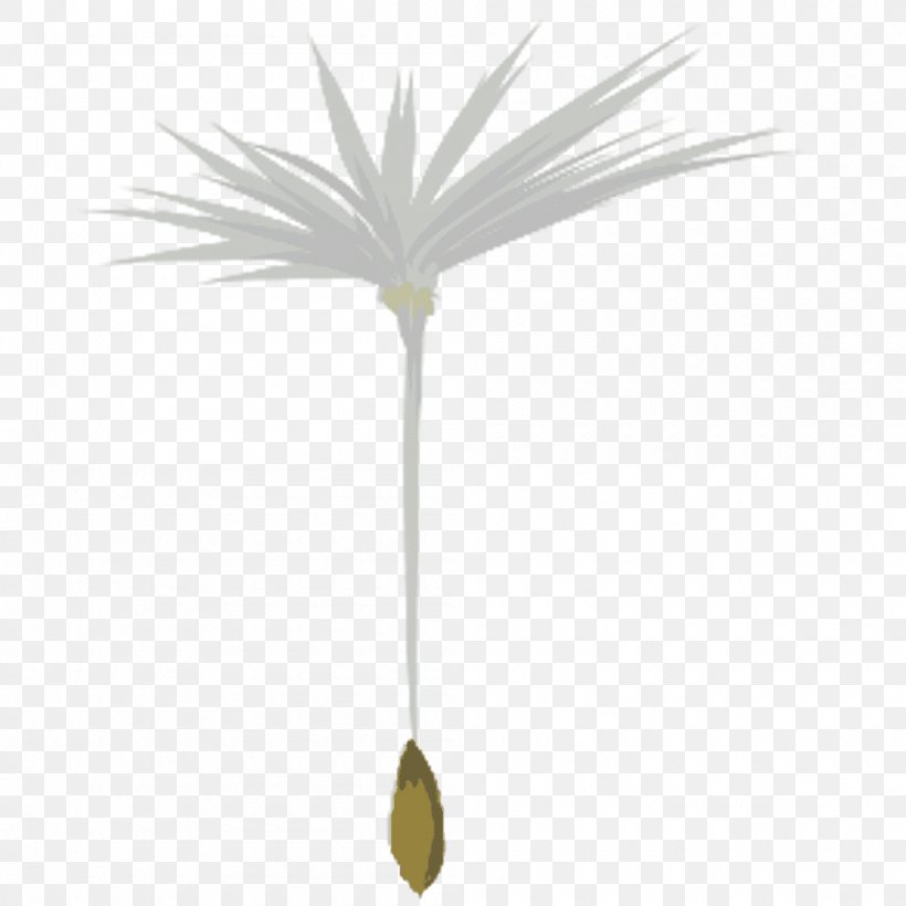 Arecaceae Plant Stem Leaf Flower Line, PNG, 1000x1000px, Arecaceae, Arecales, Branch, Flower, Grass Download Free