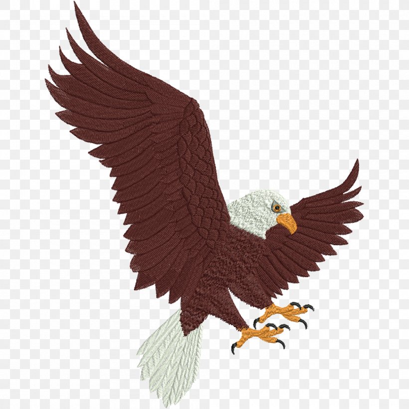 Bald Eagle Bird Blade Circular Saw, PNG, 1000x1000px, Bald Eagle, Accipitriformes, Beak, Bird, Bird Of Prey Download Free