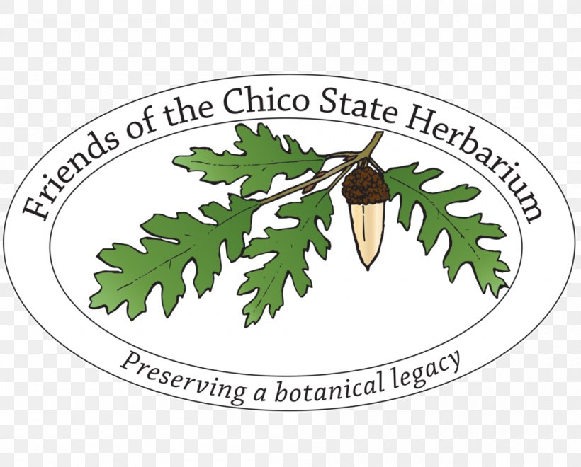 California State University, Chico Chico State Herbarium Aqua-Terra Landscapes Logo, PNG, 1000x806px, California State University Chico, Branch, California, Chico, Flowering Plant Download Free