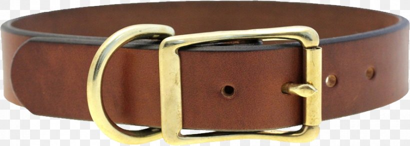 Dog Collar Dog Collar Leather, PNG, 887x318px, Dog, Belt, Belt Buckle, Buckle, Clothing Accessories Download Free