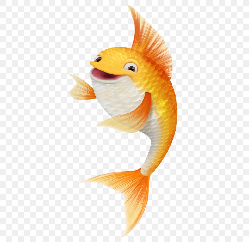 Goldfish Koi Siamese Fighting Fish Clip Art, PNG, 407x800px, Goldfish, Beak, Bony Fish, Carp Fishing, Common Carp Download Free