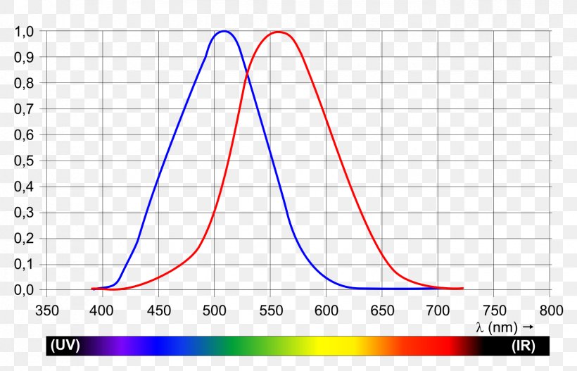 Light Photopic Vision Wavelength Luminosity Function Color, PNG, 1654x1063px, Light, Area, Color, Cone Cell, Diagram Download Free