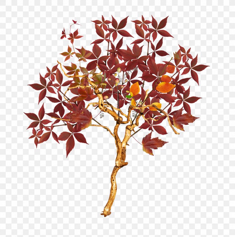 Tree Autumn Euclidean Vector, PNG, 1500x1513px, Tree, Auglis, Autumn, Branch, Gratis Download Free