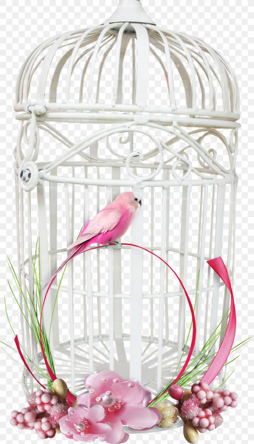 Bird Parrot Cage, PNG, 1073x1874px, Bird, Birdcage, Cage, Floral Design, Flower Download Free