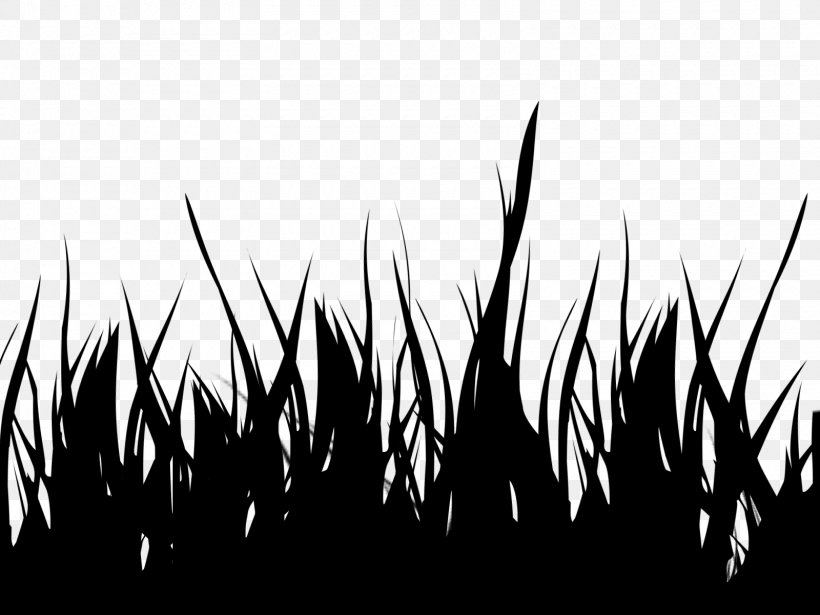 Desktop Wallpaper Computer Commodity Font Silhouette, PNG, 1600x1200px, Computer, Blackandwhite, Commodity, Grass, Grass Family Download Free