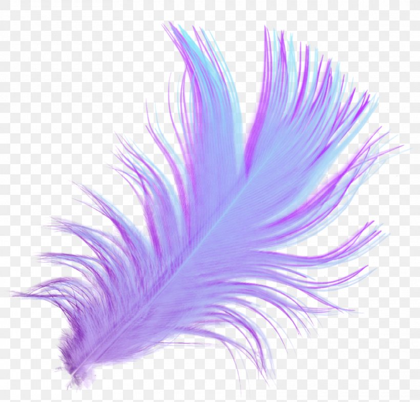 Feather Download Desktop Wallpaper Drawing, PNG, 1920x1837px, Feather, Computer, Computer Network, Display Resolution, Drawing Download Free