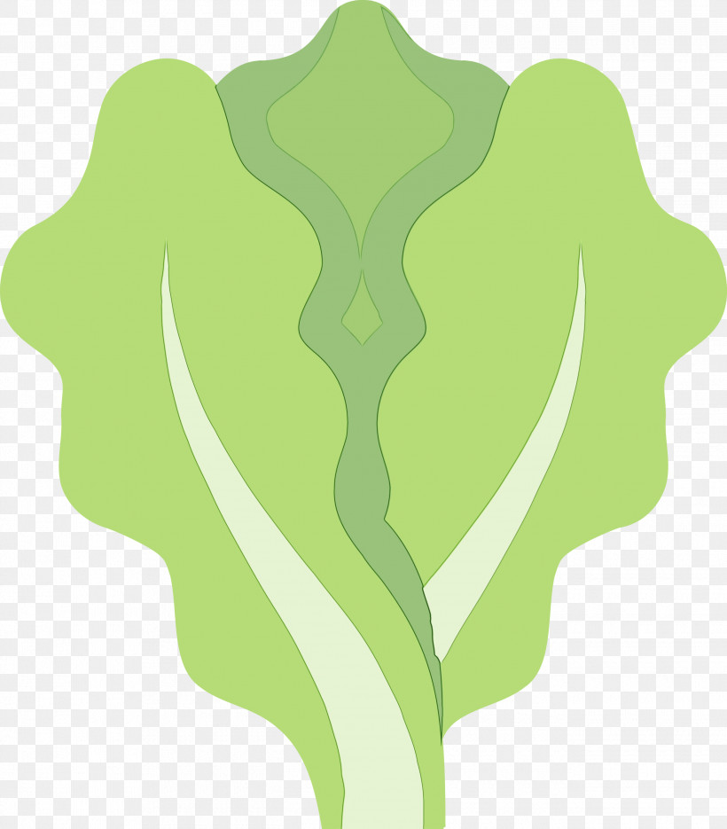 Green Leaf Plant Pattern, PNG, 2630x3000px, Lettuce, Green, Leaf, Paint, Plant Download Free