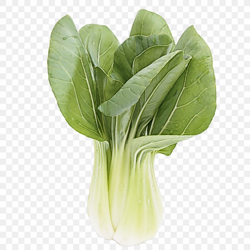 Vegetable Leaf Vegetable Choy Sum Leaf Food, PNG, 1024x1024px, Vegetable, Choy Sum, Flower, Food, Komatsuna Download Free