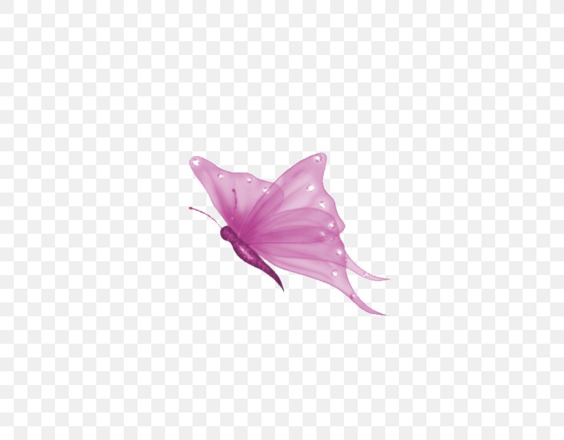 Butterfly Clip Art, PNG, 640x640px, Butterfly, Animation, Display Resolution, Flower, Insect Download Free